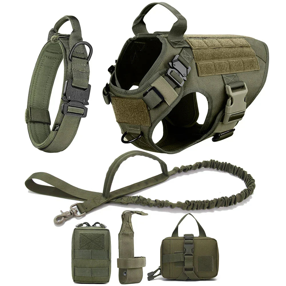 Secure buckle system on the tactical no-pull dog harness