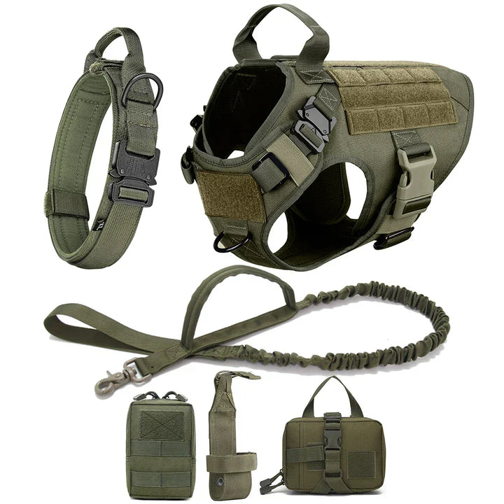Secure buckle system on the tactical no-pull dog harness