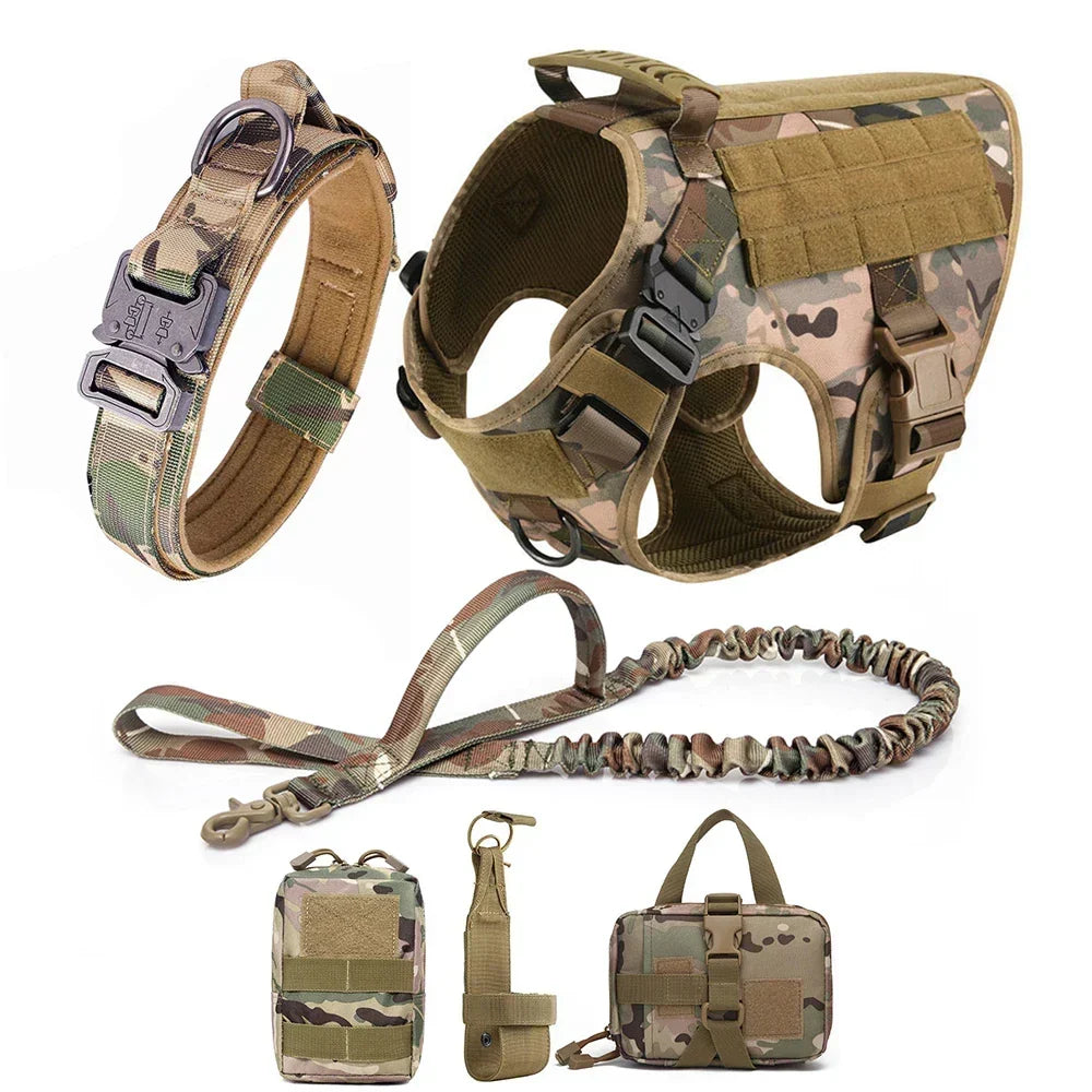 Outdoor adventure dog harness built for rugged training sessions