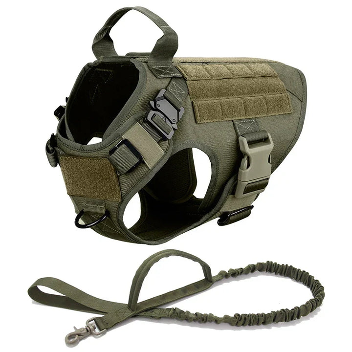 Adjustable outdoor pet supplies harness ensuring a secure custom fit