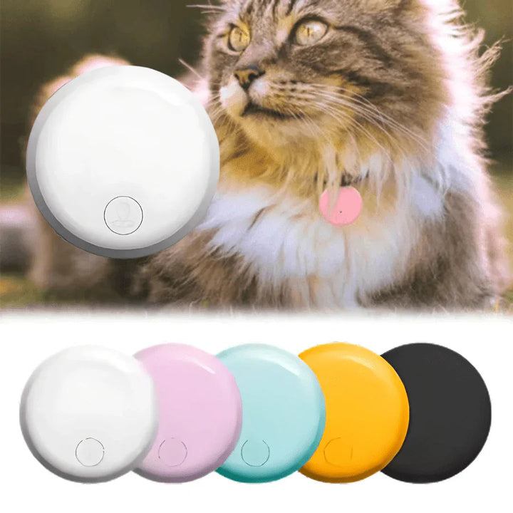 White cat GPS tracker device displayed next to colorful alternative options