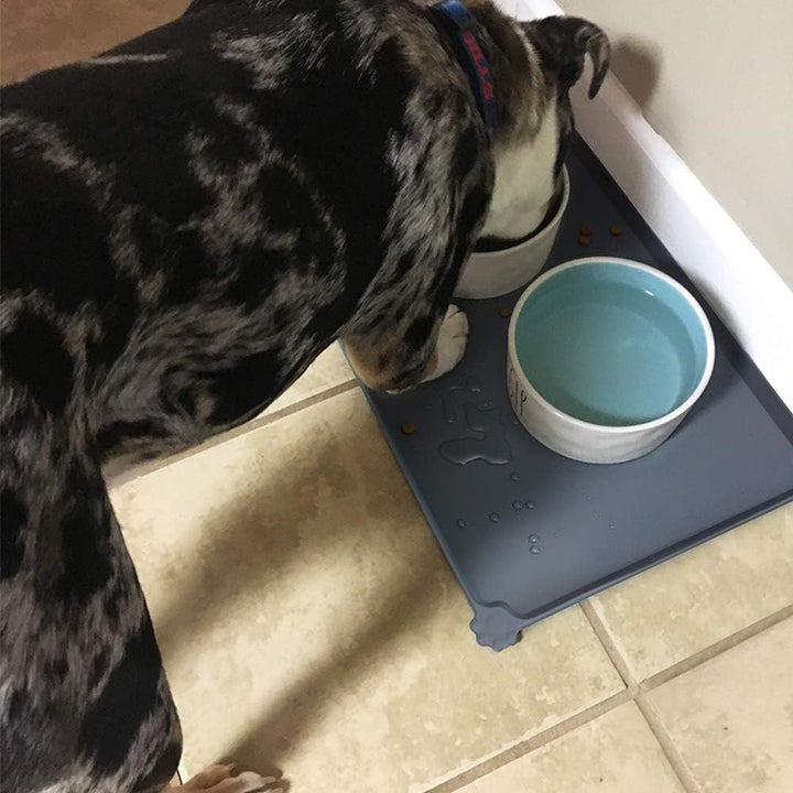Dog enjoying food on a durable pet food mat that prevents slipping