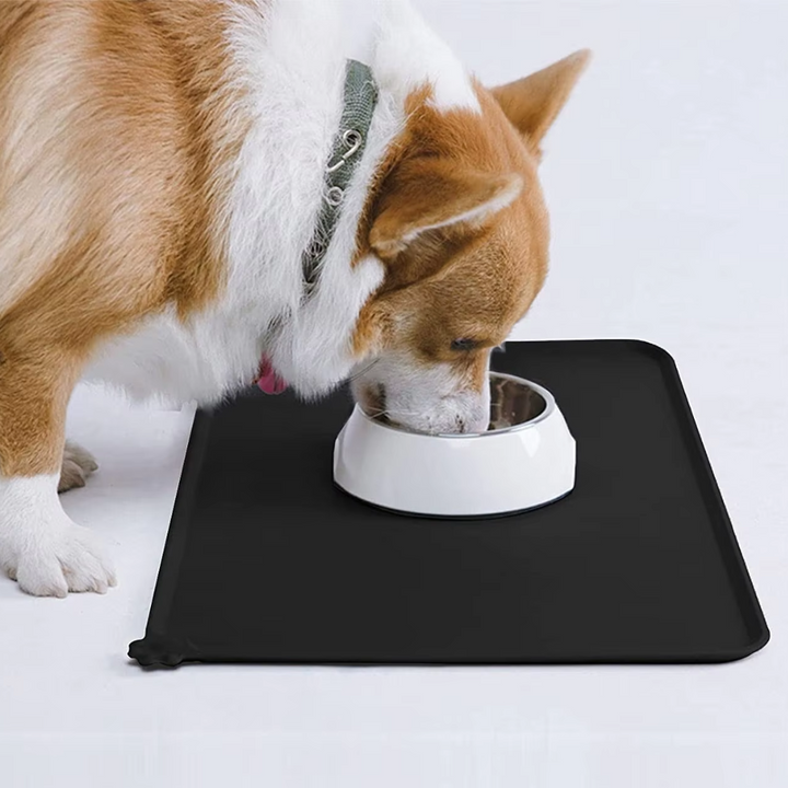 Corgi dog eating from a bowl placed on a black waterproof pet feeding mat