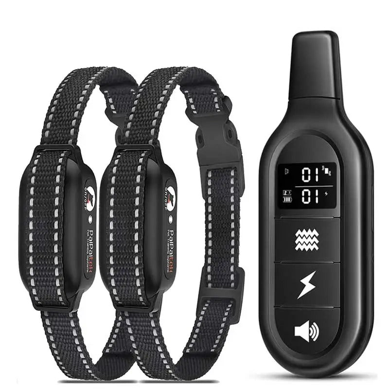 Complete remote dog training system package including two receiver collars and controller