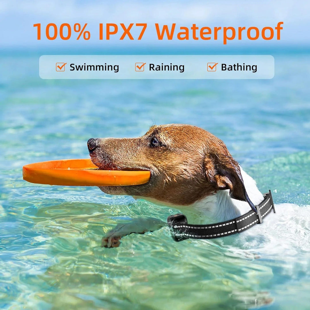 Waterproof rechargeable dog training e-collar receiver with durable strap