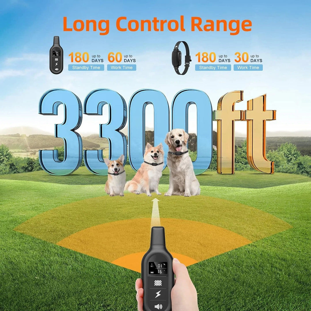 Pet training e-collar remote control displaying settings and levels
