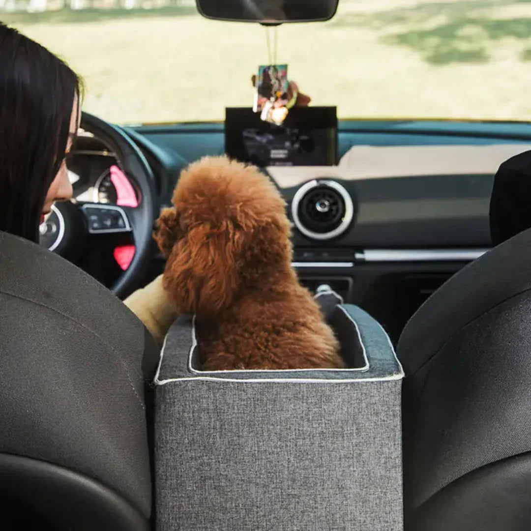 Poodle sitting in a grey pet car booster seat installed between car seats